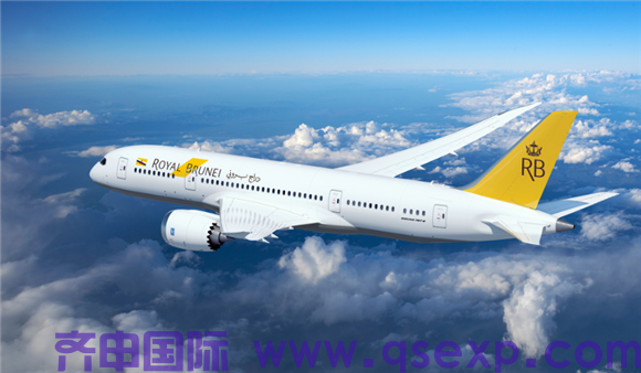 成都到文莱斯里巴加湾高端食品冷链空运DDU到门