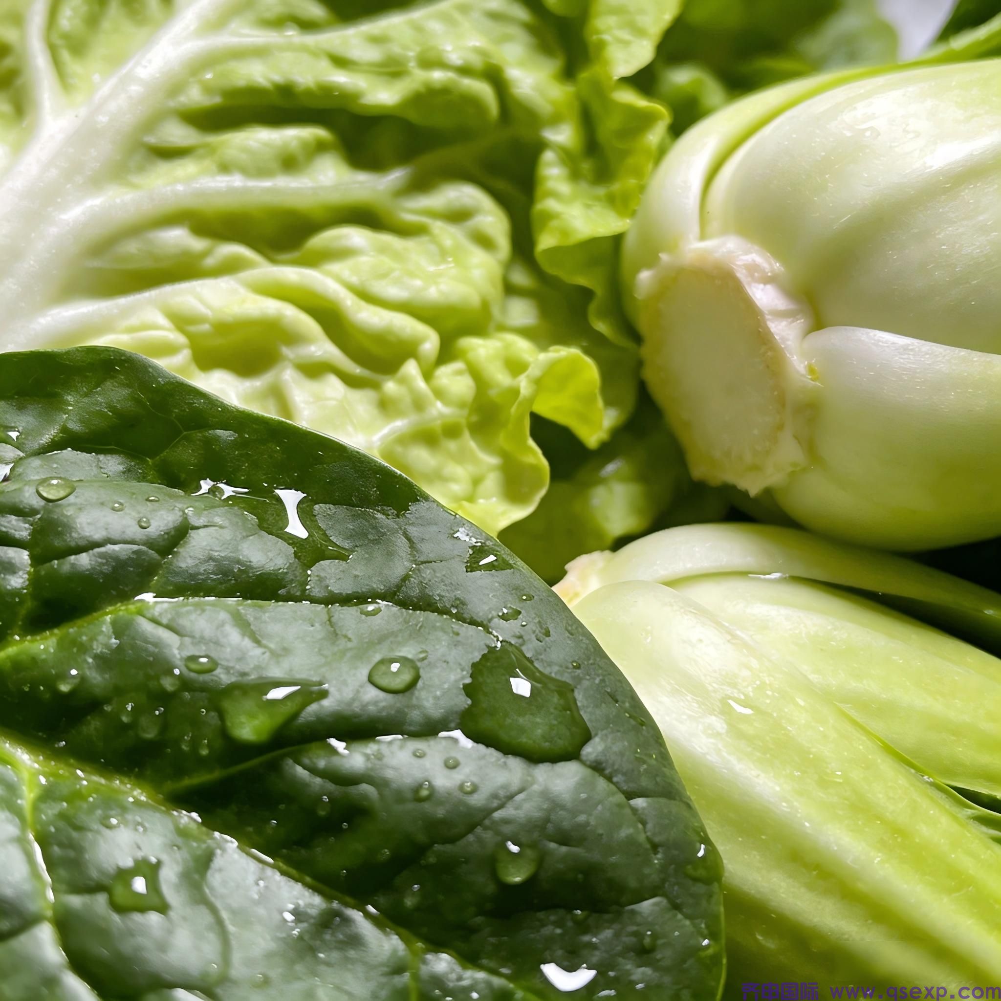 青岛到菲律宾马尼拉 农产品双清包税到门