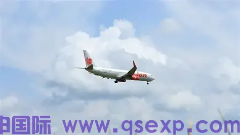 贵阳到越南胡志明市 香杉生态板空运案例