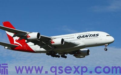 厦门至巴西圣保罗服装鞋帽空运专线案例